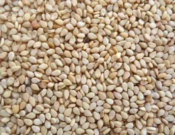 sesame-seeds.webp